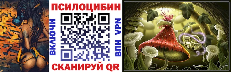 блэк спрут зеркало  Тюмень  Галлюциногенные грибы Psilocybe 